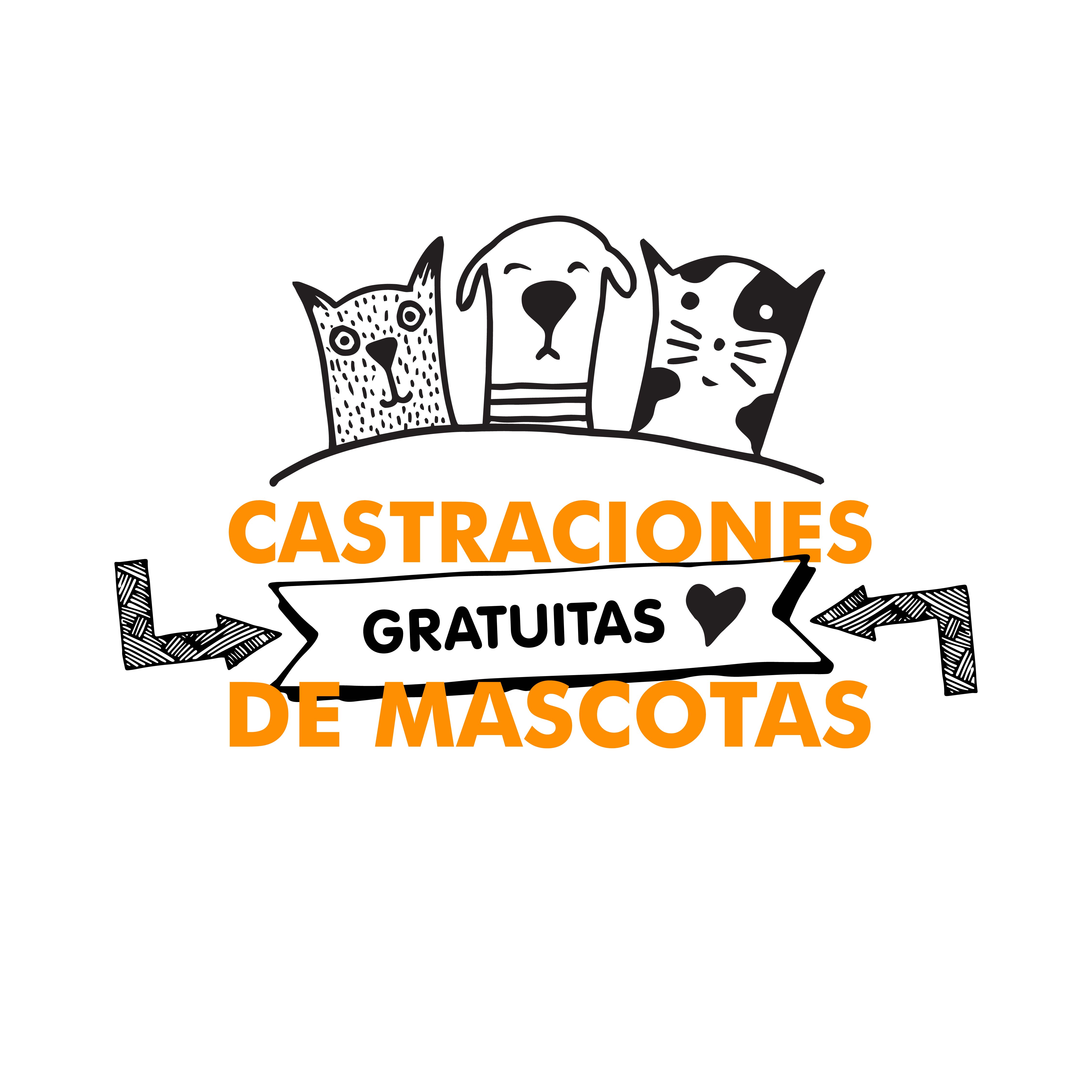 Quinta jornada del año de castraciones